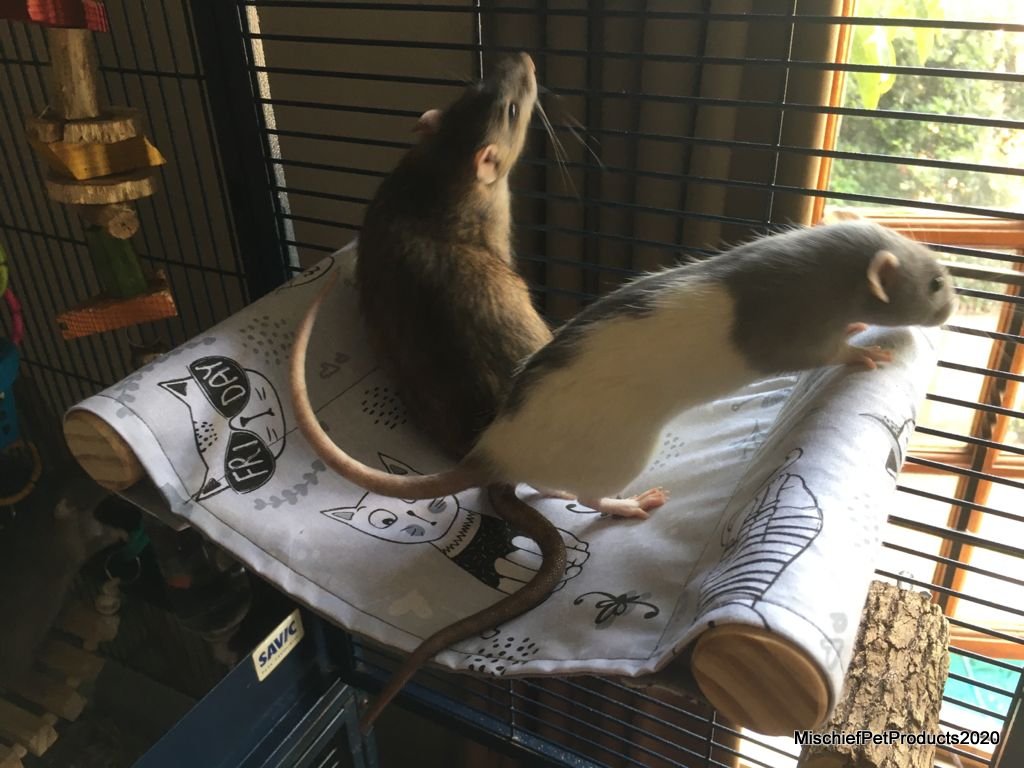 Dowel Hammock Set - Mischief Pet Products