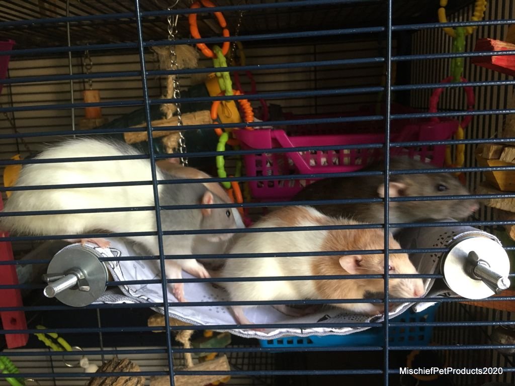 Dowel Hammock Set - Mischief Pet Products