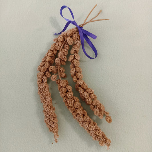 Spray Millet - Pack of 3 - Mischief Pet Products