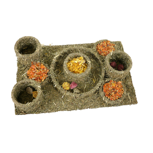 Naturals Hide 'N' Treat Maze - Mischief Pet Products