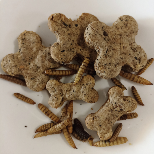 Mischief Insectivore - Black Soldier Fly Larvae 75g - Mischief Pet Products